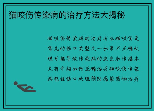 猫咬伤传染病的治疗方法大揭秘